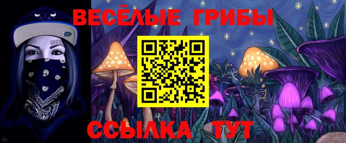 Галлюциногенные грибы Magic Shrooms  Вход с VPN  Каменск-Уральский  Галлюциногенные грибы прущие грибы 